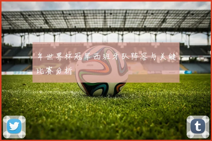 年世界杯冠军西班牙队阵容与关键比赛分析